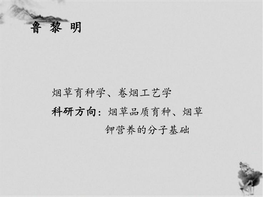 卷烟基础知识